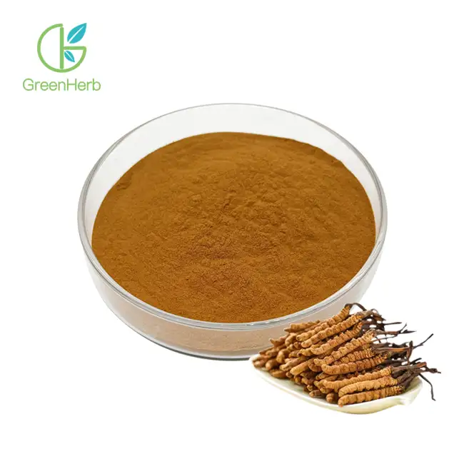 Cordyceps Sinensis Extract Powder